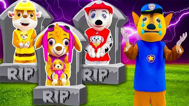 장난감 비디오: PAW Patrol의 슬픈 이야기