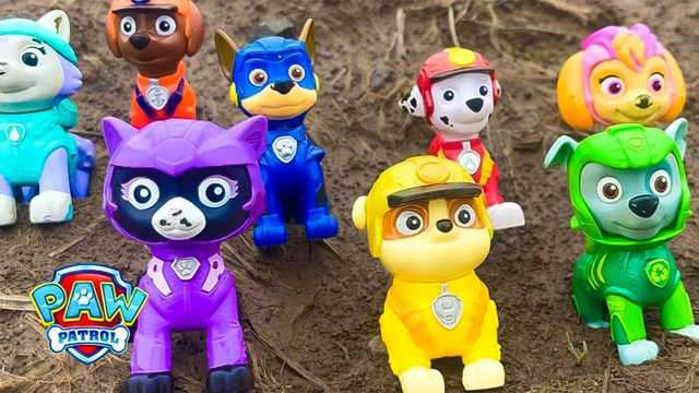 Vídeo de brinquedo: Patrulha Canina executa plano de resgate de brinquedo na areia