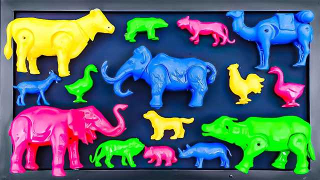 Video de juguetes: canta y juega con los divertidos amigos del zoológico | Iluminación para niños💡